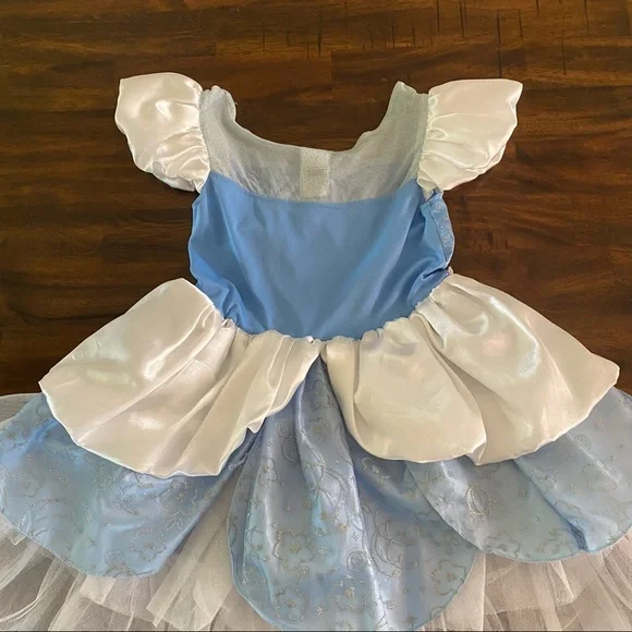 Disney Cinderella Costume